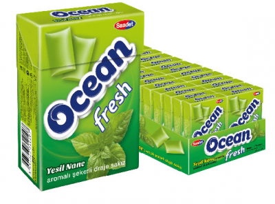 Saadet Ocean Fresh Nane Aromalı Şekerli Draje Sakız 15 gr
